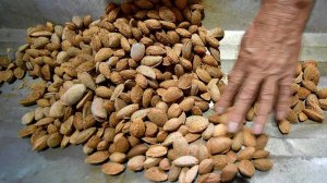 Врач рассказала о пользе орехов для здоровья