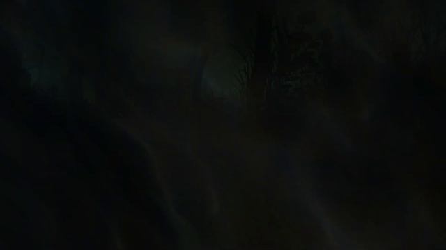 The Cursed Forest - 1 серия смотреть онлайн