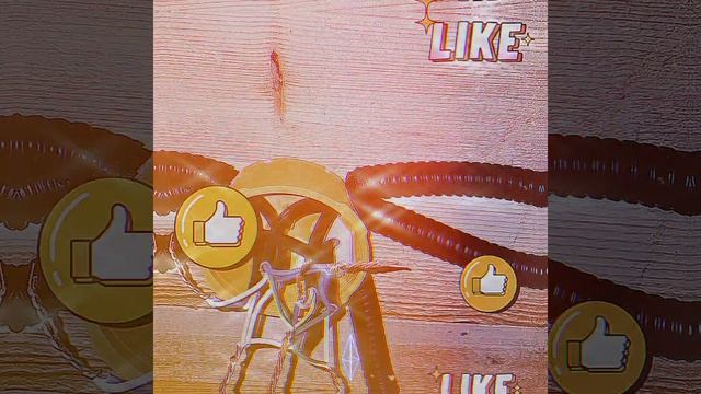 1000024952.mp4 (Собака смотрит на электроснабжение нового дома А-фрейм)
