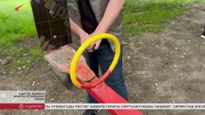Адæмон фронт бæрæг кæны бирæфатерон цæрæнуæтты кæртыты уылты цæуæг фæндæгты уавæр