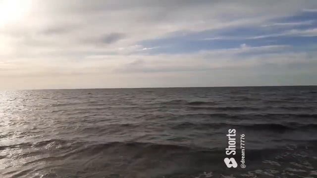 Что тебе подарить,человек мой дорогой💖#карачевнцов#г смотреть онлайн