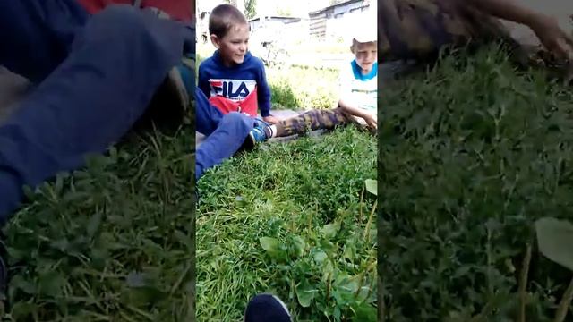 Снимаем 31 минута связанными ногами смотреть онлайн