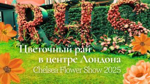 “RHS Chelsea Flower Show 2025: Погружение в атмосферу цветочного праздника”
