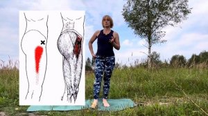 Напрягатель широкой фасции бедра | Визуальная оценка |