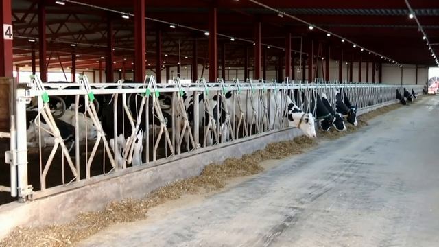 РАЗВИТИЕ СЕЛЬСКОГО ХОЗЯЙСТВА В РОССИИ 2025 смотреть онлайн