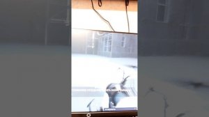 Победил боса портал