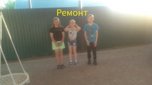 Делаем ремонт в квартире собаки Миланы