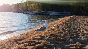 Майские праздники в Боровом. Казахстан.