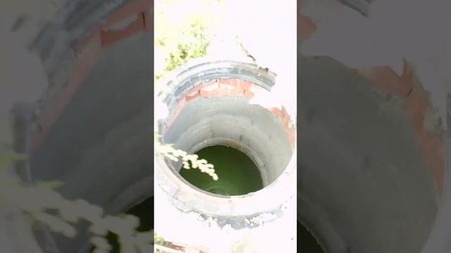 Слышу голос из "прекрасного" далека, или музыка из канализации...