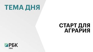 39 человек в Башкортостане выиграли грант "Агростартап"