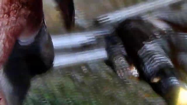 Лара Крофт xbox360 прохождение #3 смотреть онлайн