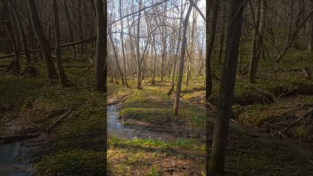 Про барсучий городок,подснежники и о том как меня наше смотреть онлайн