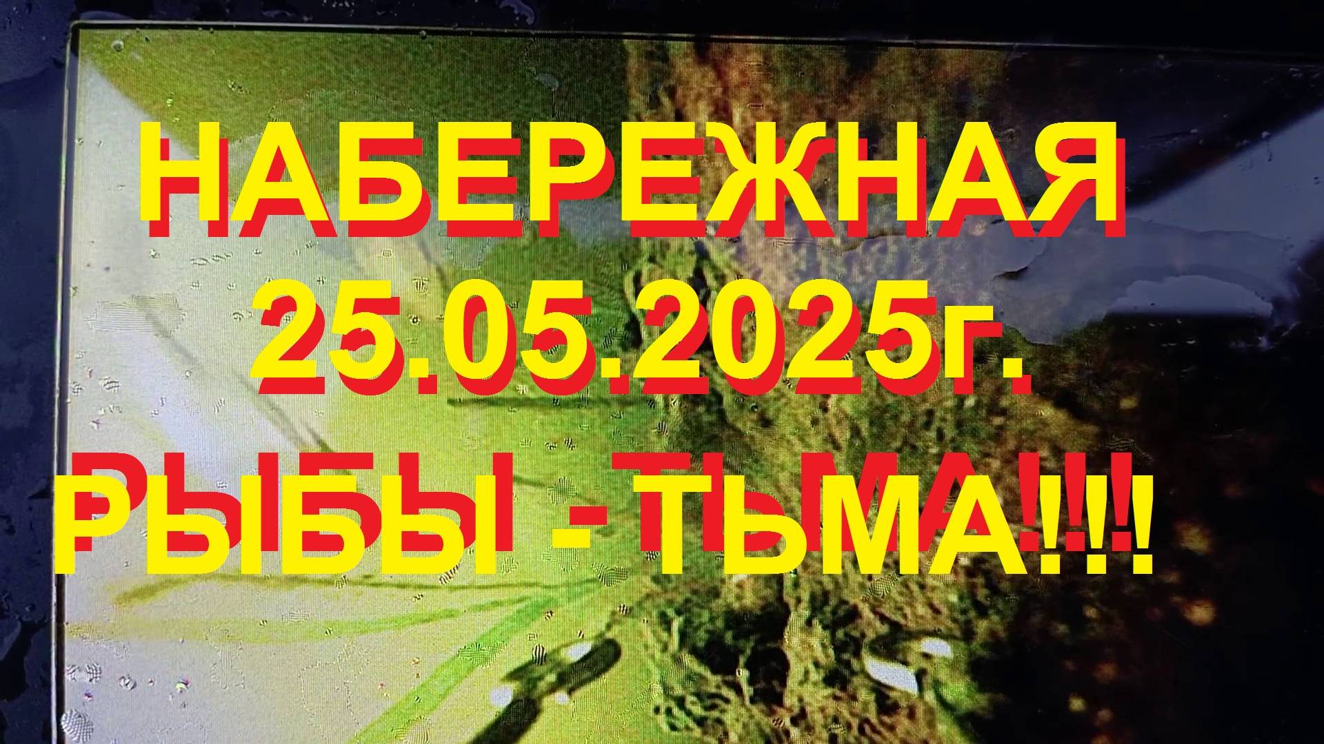 Набережная 25.05.2025! Кто там???.mp4