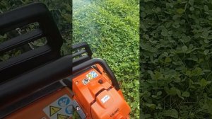 бензопила echo cs 600 отдаю за 37000