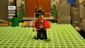 Коллекция животных