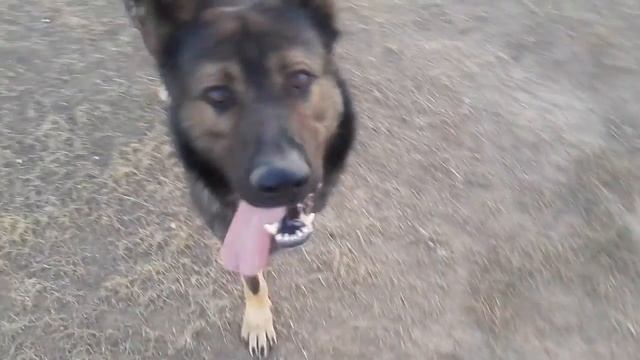 Когда забыли взять мячики смотреть онлайн