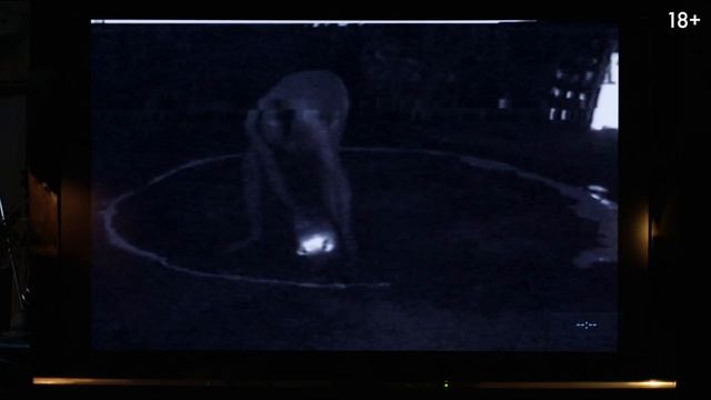 Верни её из мёртвых - 2025 (05)
