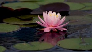 Лучшая Музыка 2024 ! песни DEEP HOUSE 2024 ! Популярные Песни Сл?