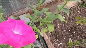 Природа, живописная красота!