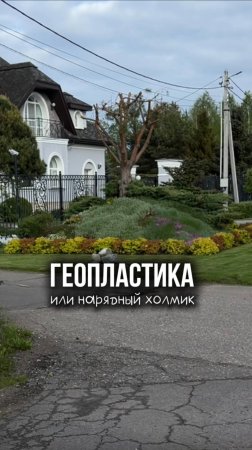 Геопластика: да или нет?

Жду ваше мнение в комментариях!🙌🏼