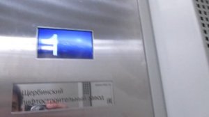 Музыкальные лифты ЩЛЗ-(Ecomaks) @ М.О. г. Мытищи, Новомытищинский проспект, д. 86к1-1 (16)