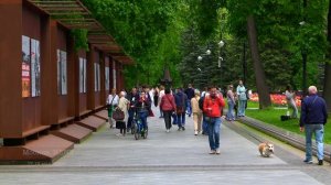 Дневник натуралиста: наблюдение за природой в средней полосе России Май 2025г