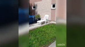 Драйвтур на Алтае