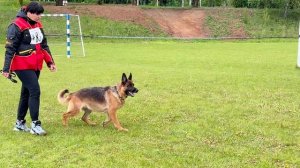 10 Отл. EVANDZHELEN LI LI Fom Festburg +++ №83 / КЧК+ БОРИСОВ (BY) 17 мая`25 M.Jovovic Моно нем.овч.