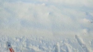 Лыжи коньковые.Тест парафинов.