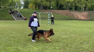 4 О/Отл. Оберлауф АВАНГАРД +++ №32 / Кубок Беларуси 17 мая`25 M.Jovovic Моно нем.овч.