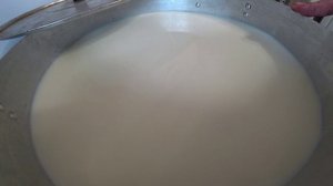 Брынза из коровьего молока