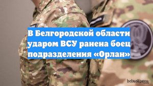 В Белгородской области ударом ВСУ ранена боец подразделения «Орлан»