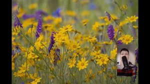 Истории из жизни | Свекровь переписала квартиру на вну