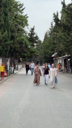 Знаменитая Кипарисовая аллея в Судаке. Судак 2025 Крым сегодня #крым #судак2025 #судаксегодня