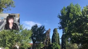 Свекровь разрешила жить в квартире, но только Жизненн?