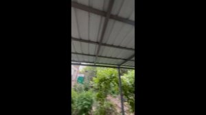 Мангальная зона плюс навес. Донецк, Клининский район,Дружба.