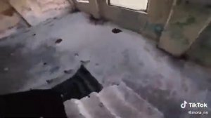 Арсик вектор