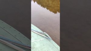 Прогресс 2м и болотоход с гибким валом. 1й выход. много ?