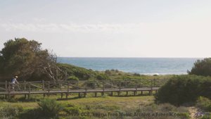 Это видео - как глоток счастья, который нужен каждому! - Shastakovitch -- New Millennium String Band