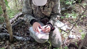 Лес на огне (Экспедиция ИГиП ДВ РАН в леса Забайкалья)