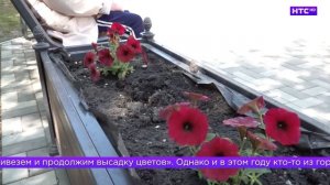 Про посадку цветов на улицах Ирбита