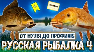 RF4 АПП ЛВЛ, ПРИКОРМ НА СТО, ФАРМ СЕРЫ, ЯНТАРКА И ПЛАНЫ #рр4