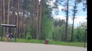 Прогулка по парку