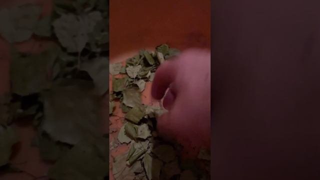 В бане не уходит вода?