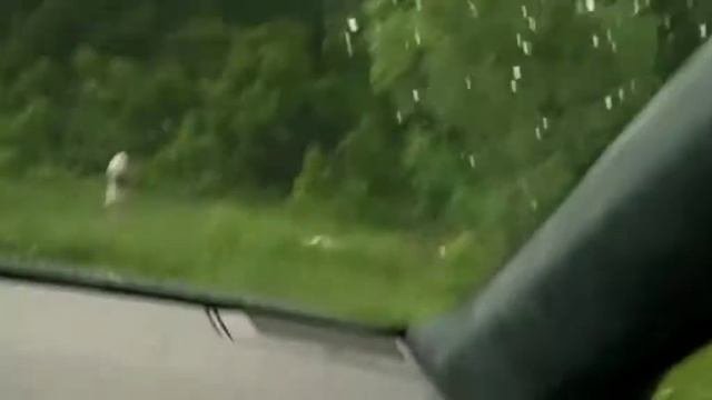 КОЗЁЛ СДЕЛАЛ САЛЬТО ВПЕРЁД!!! / СМЕШНОЙ МОМЕНТ С ВИДЕО В