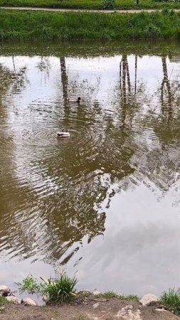 Возьмите себе законное право