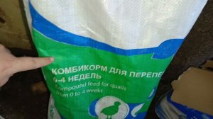 Перепела. Корм БелКо. Новый брудер.