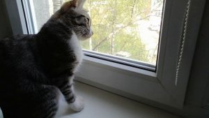 Доброе утро Насекомые 🐈🐱🐱🐱