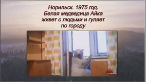 🔥Айка. Норильск 1975 год