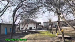 Замини Фуруши 13 сотих бо нархи 200  Хазор       31 января 2025?